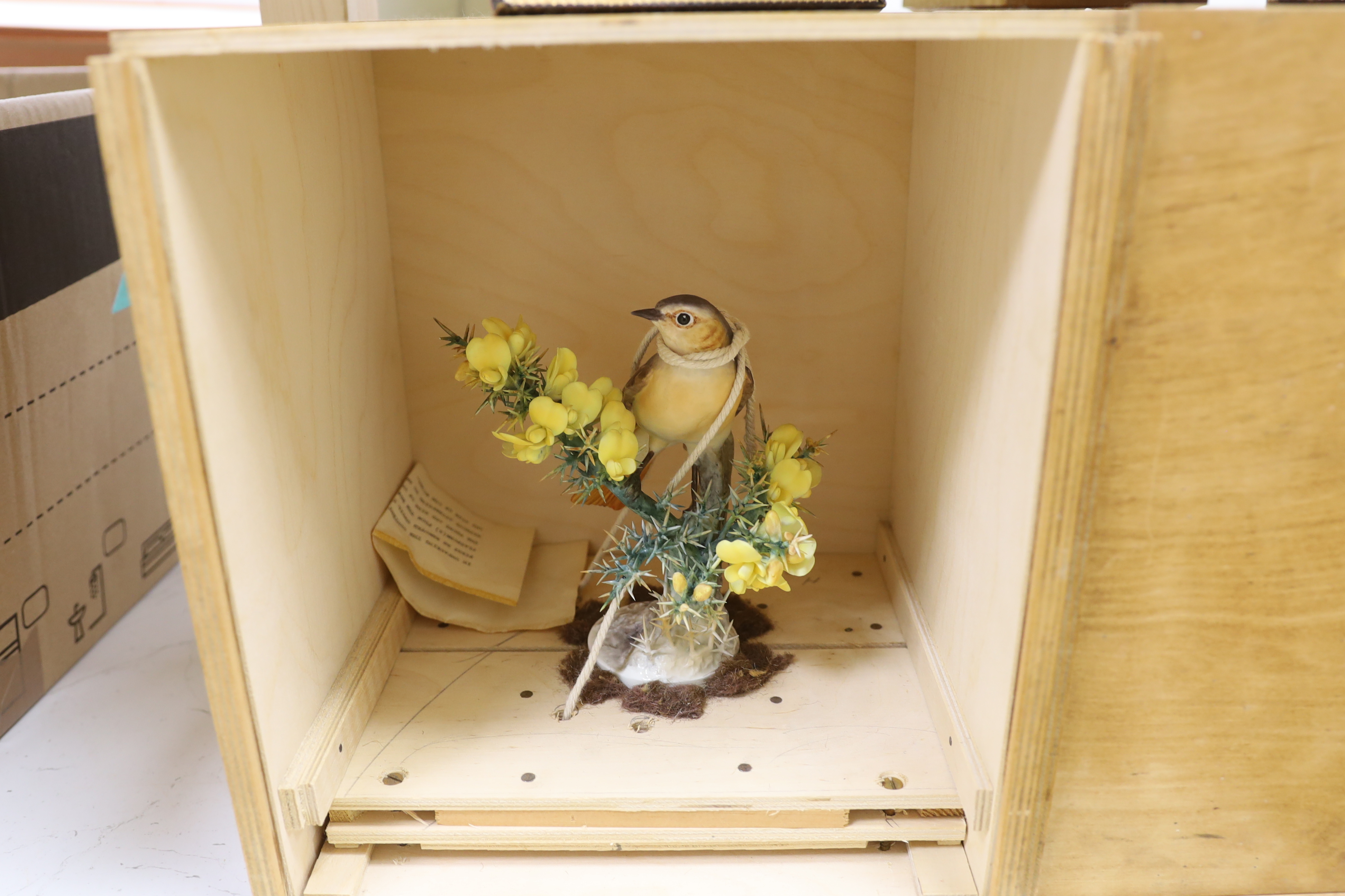 A Royal Worcester Redstart Hen and Cock and a Royal Worcester ‘Hibiscus’ with boxes and framed certificates (3)